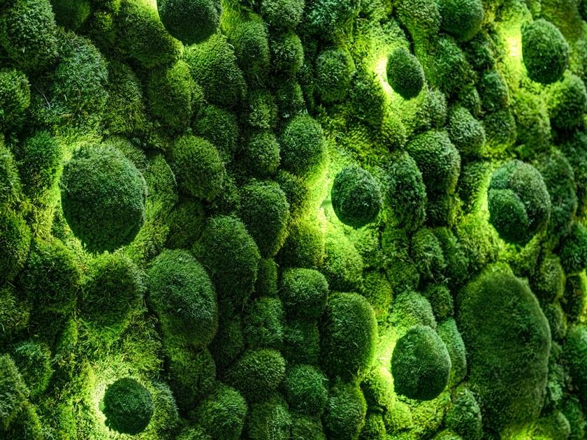 Freund GmbH Настенный светильник из мха / потолочный светильник sun-id-1426199 - Вид №3