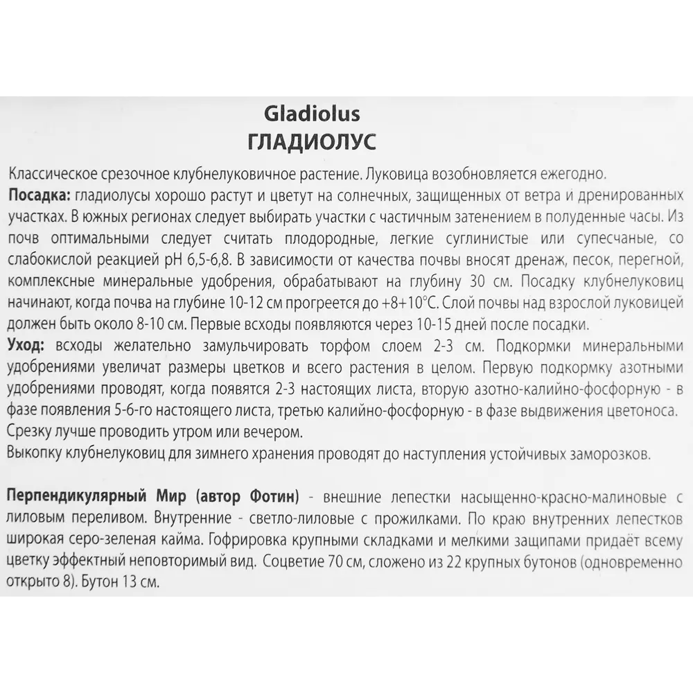Гладиолус Перпендикулярный мир, 3 шт 86410011 STLM-2092990 ПОИСК  - Вид №2
