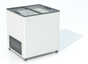 9198560 Морозильный ларь Frostor F 215 C белый, серый