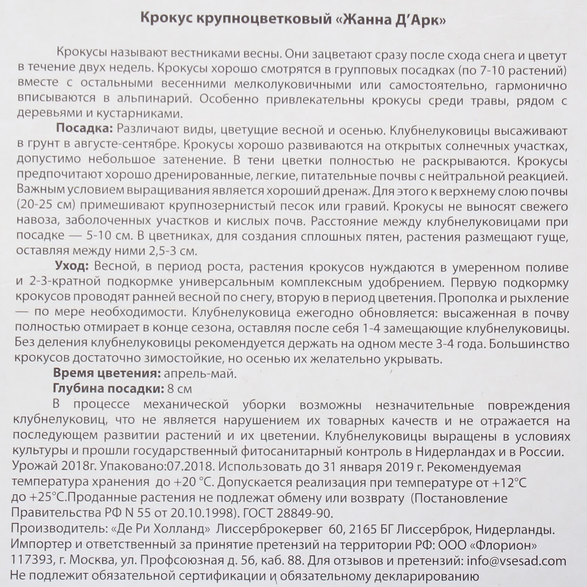 82004063 Крокус крупноцветковый «Жанна Д арк» Santreyd  - Вид №2