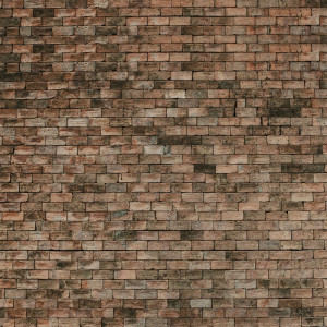 WP08114A Обои декоративные Adriani e Rossi