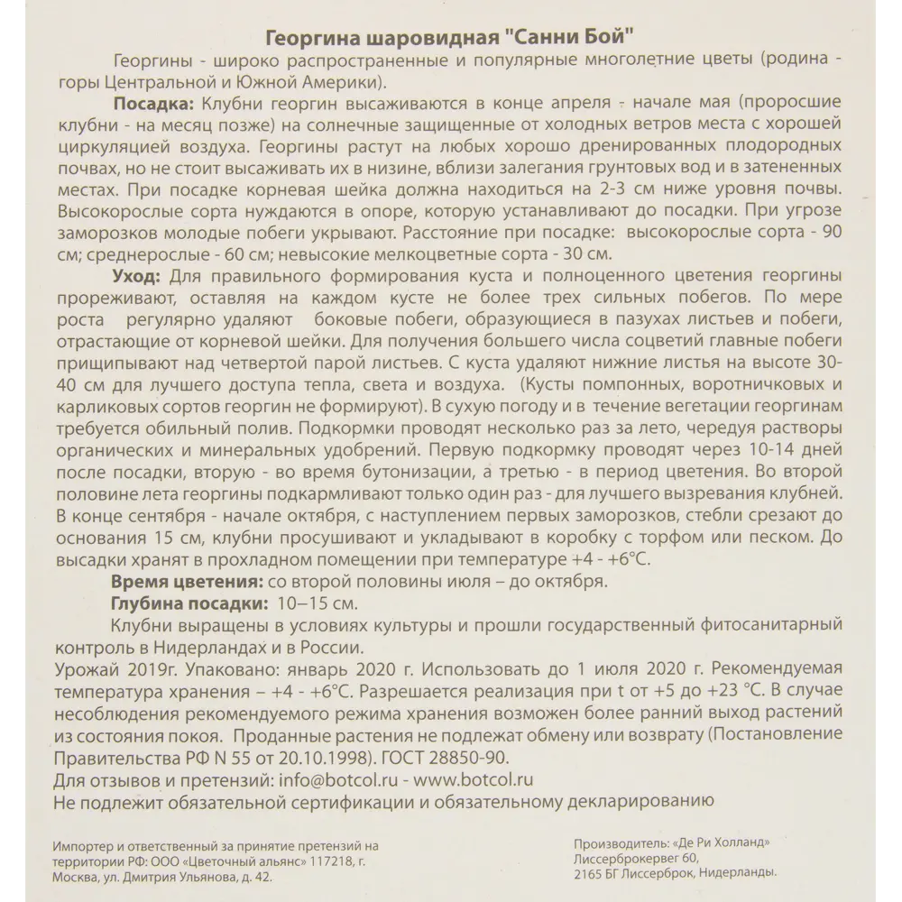 Георгина Санни Бой I, 1 шт 82539286 STLM-2031105 Santreyd  - Вид №2