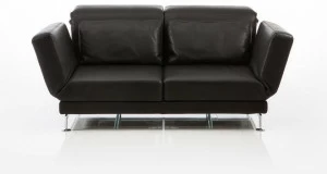 brühl 2-х местный кожаный диван Moule
