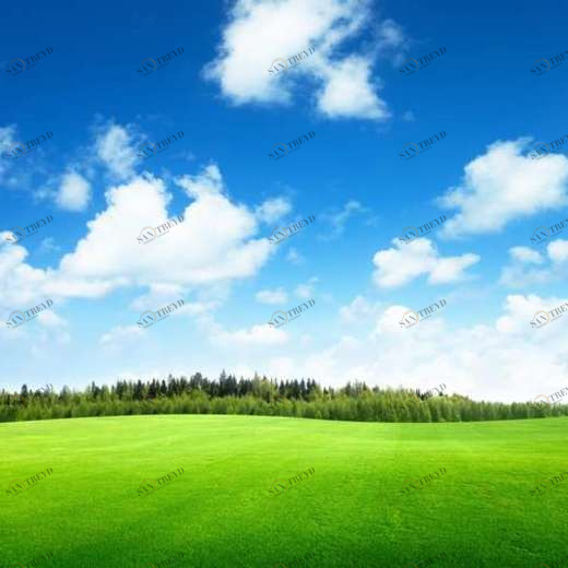 WP01381 Фотообои Verol Фотообои decoline 1х1 м