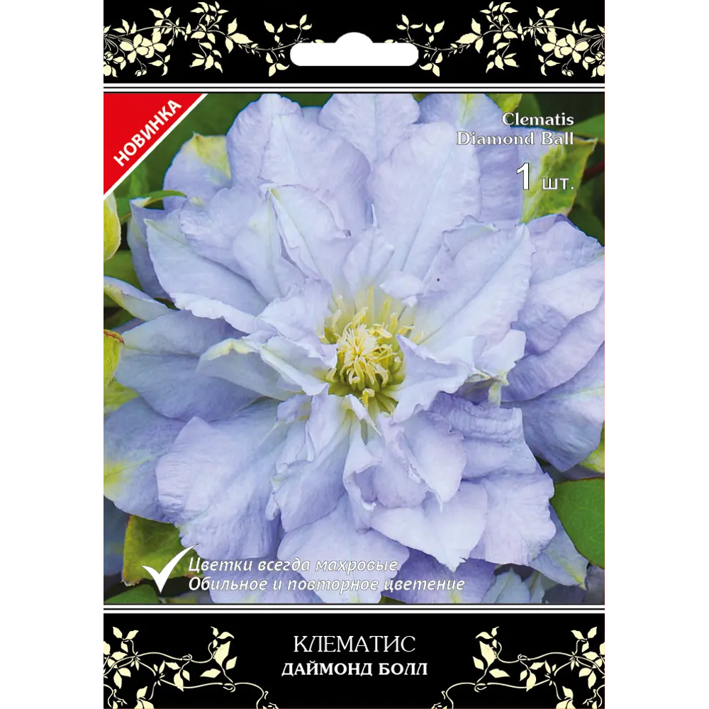 Клематис крупноцветковый Даймонд Болл в капере 82527434 STLM-2075807 Santreyd 