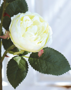 2591 778 a3 Ложная роза, 4 цветка, 1 бутон, 57 см, бежево-белая H-andreas