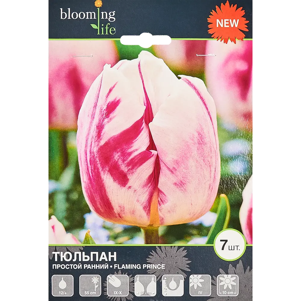 Тюльпан «Флеминг Принц» размер луковицы 12, 7 шт. 82665837 STLM-2191315 BLOOMING LIFE 