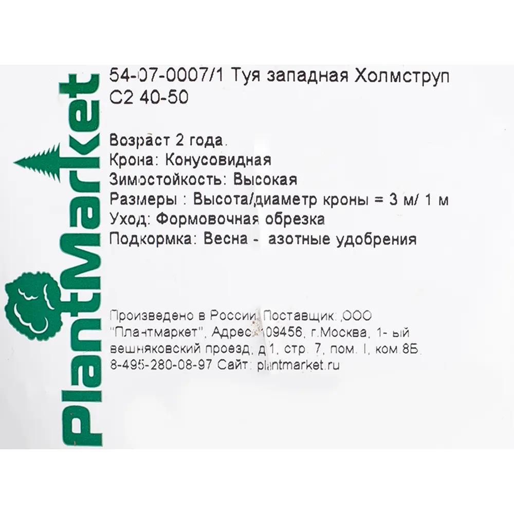 Туя западная Холмструп», С2/40-50 см 18470051 STLM-2067824 Santreyd  - Вид №1