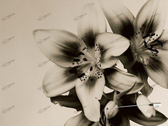 Wall&decò Дизайнерские обои с цветочными мотивами Contemporary wallpaper 2010 sun-id-1489786