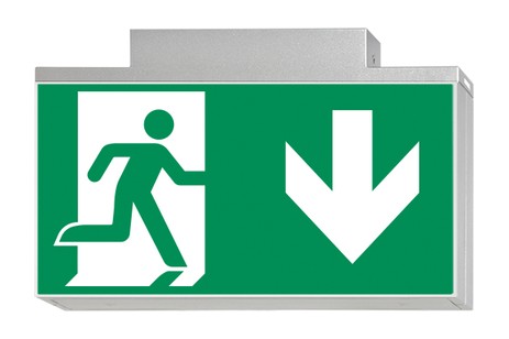 DST-779 Lisu ceiling-mounted Daisalux Светильники аварийные Серебристо-Серый 