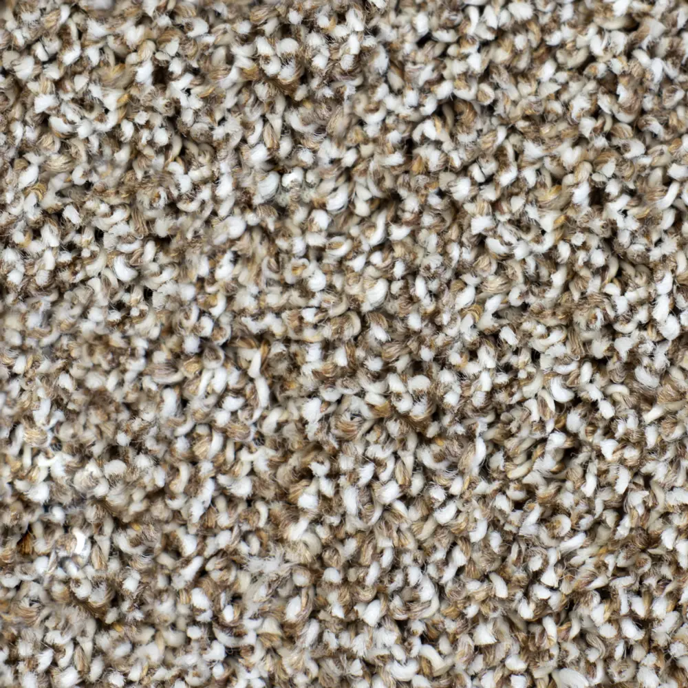 Ковровое покрытие «Равенна», 3.5 м, цвет бежевый ЗАРТЕКС STLM-2187853 - Вид №1