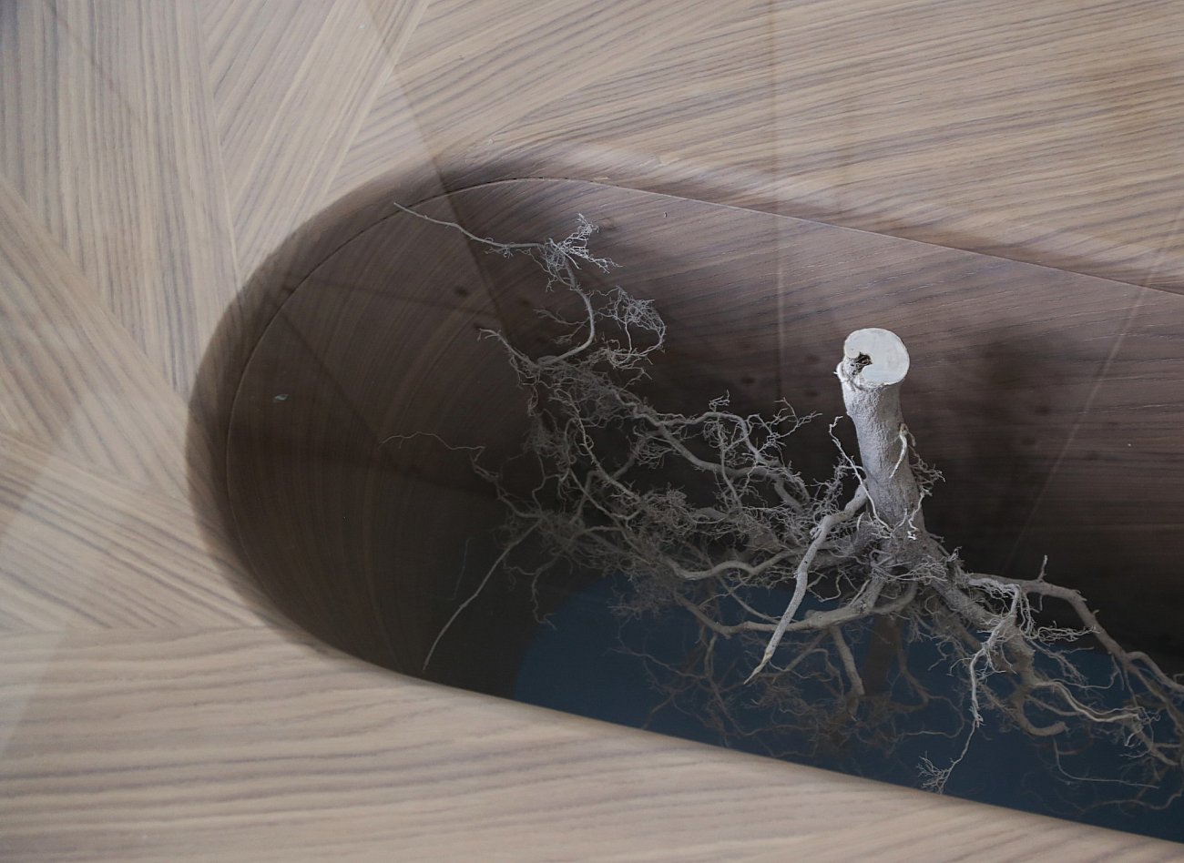 Обеденный стол дизайнерский со стеклом и декоративным элементом 200 см "Корень" от Odingeniy ODINGENIY  178450 Коричневый  - Вид №4