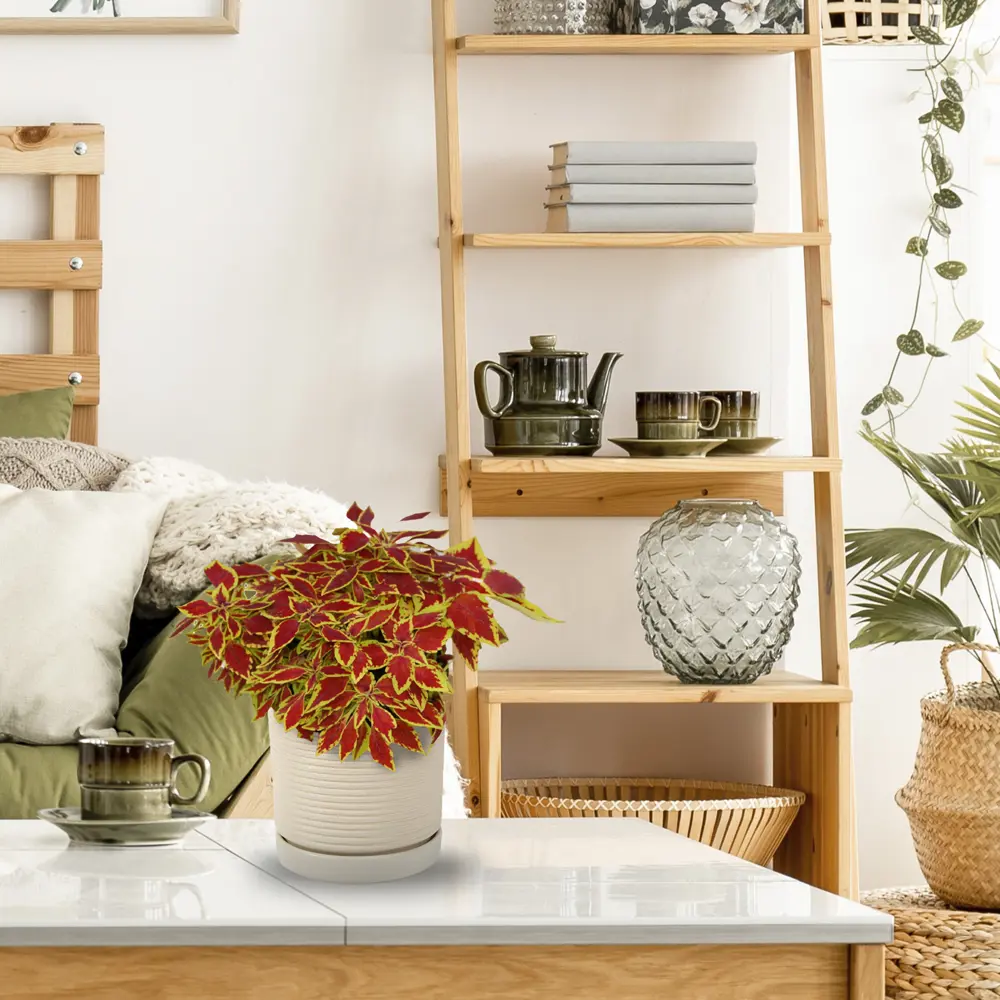 Керамический горшок Santreyd «Лоза» для комнатных растений 82278871 STLM-0023895 - Вид №4