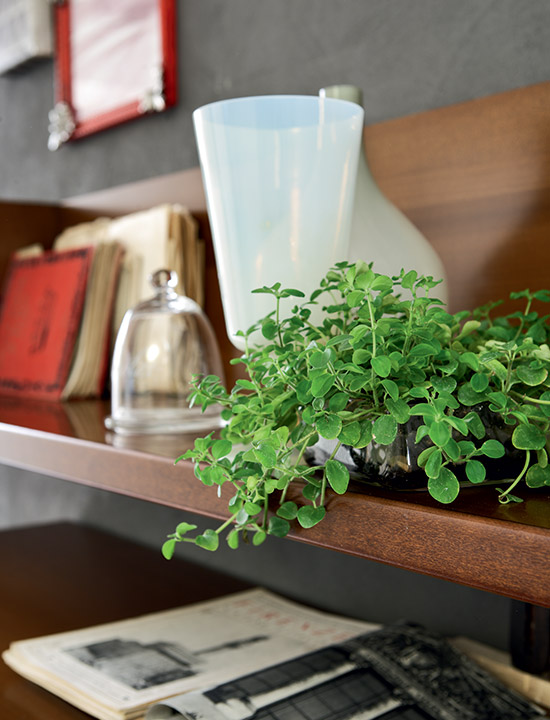 Collection mu456 Maroneseacf Murano - Вид №2