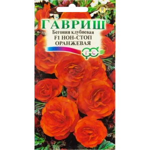 Бегония гранулированная «Нон-стоп» оранжевая, 4 шт. 82097834 STLM-2186850