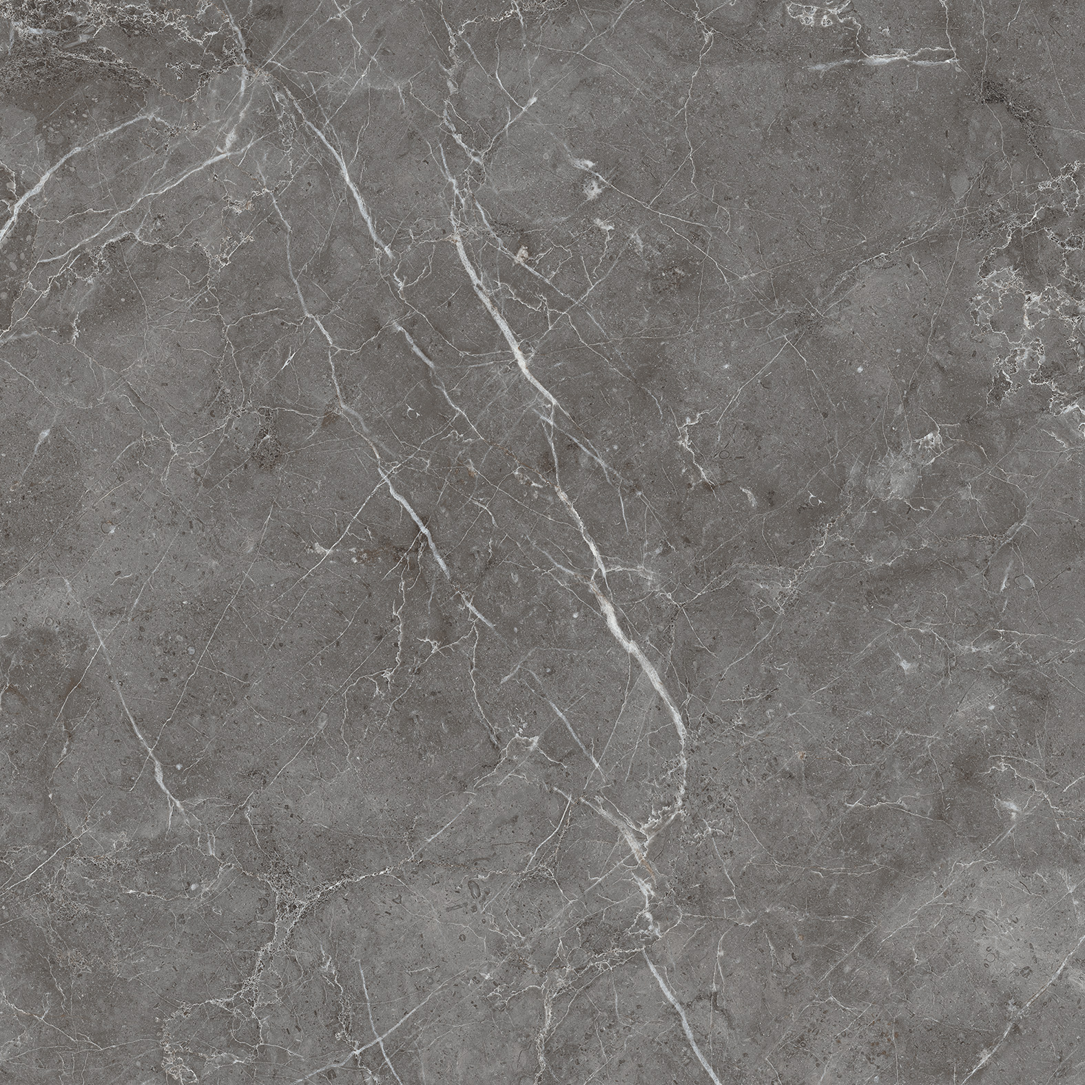 ESPERIA GRIGIO ARCADIA CERAMICA CR6001-A - Вид №4