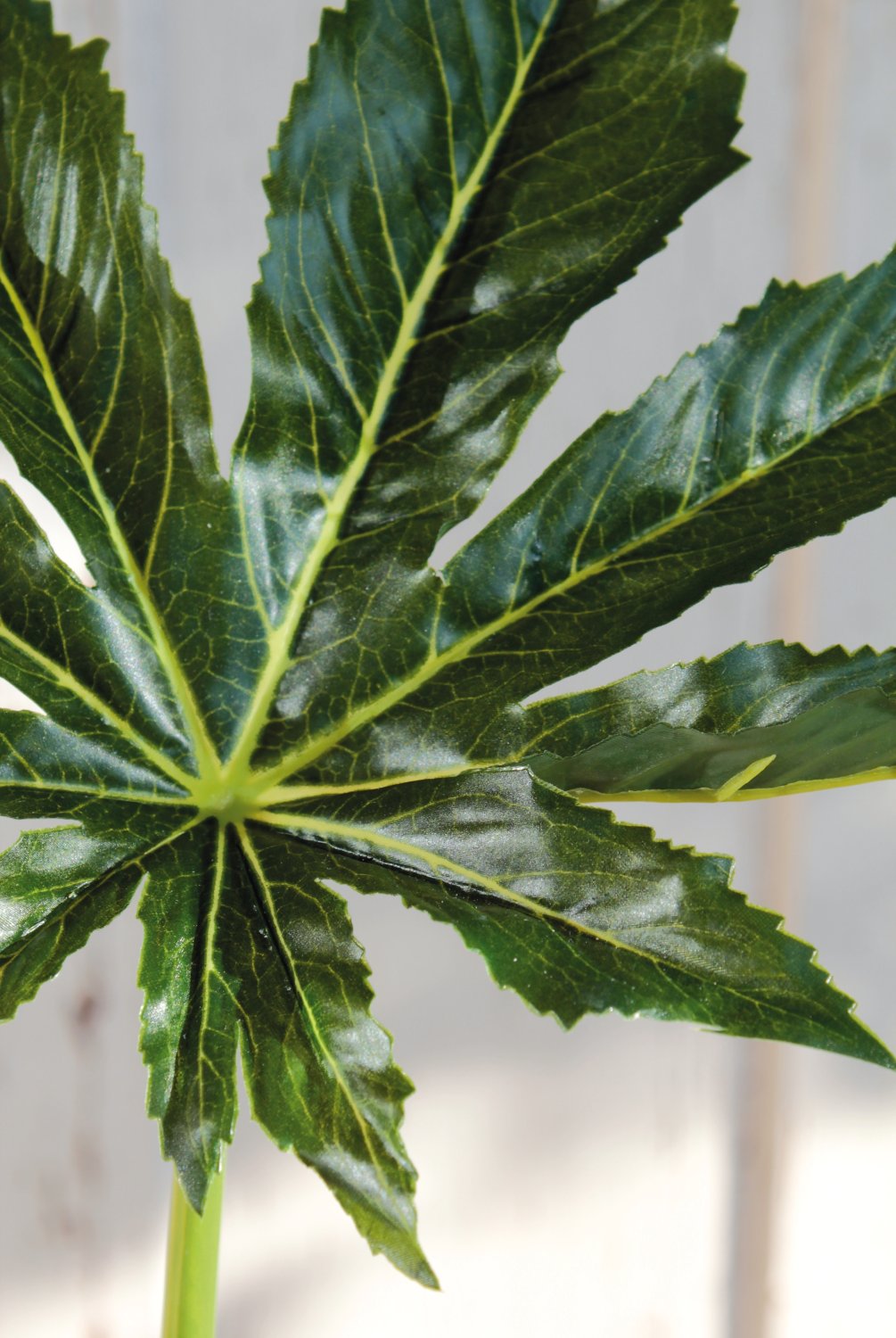 5833 883 a3 Лист искусственной аралии, 68 см, Ø 25 см, зеленый H-andreas  - Вид №2