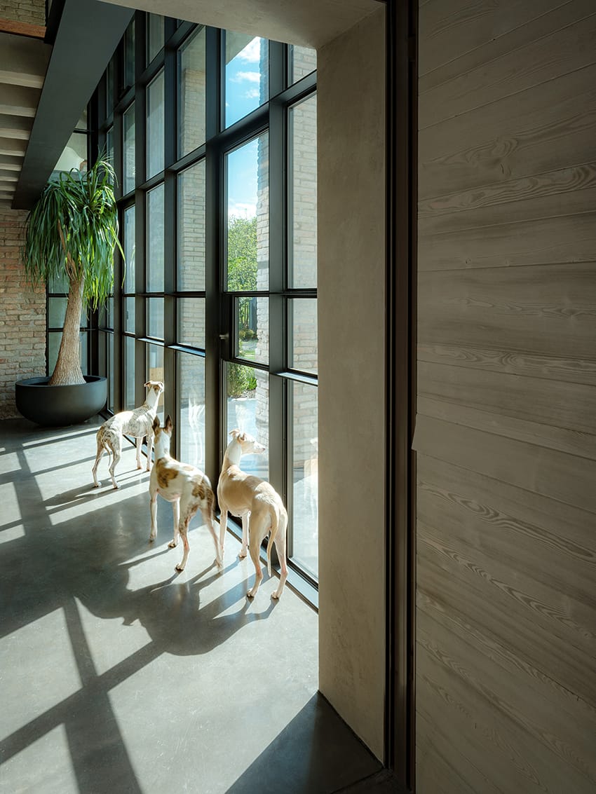 Стальная дверь-окно с термической резкой Ottostumm | Mogs Ferrofinox TB ARCH-00032775 - Вид №2