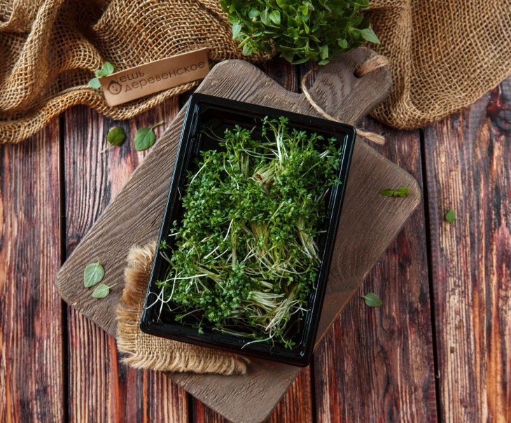 5503 Микрозелень кресс-салат Вкусляндия  - Вид №2