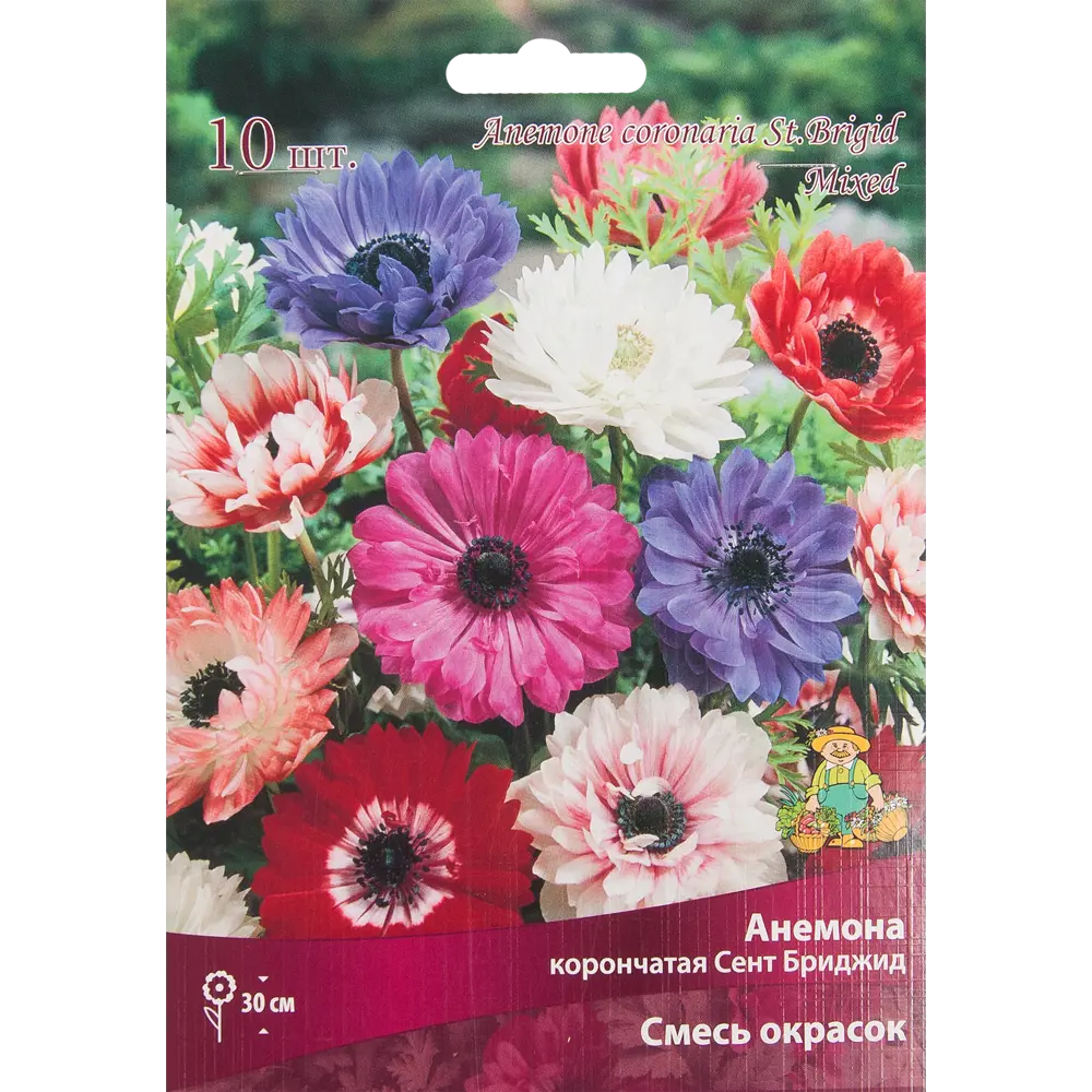 Анемона корончатая ПОИСК «Сент Бриджит микс» - 10 луковиц для садового великолепия 82319543 STLM-0964997