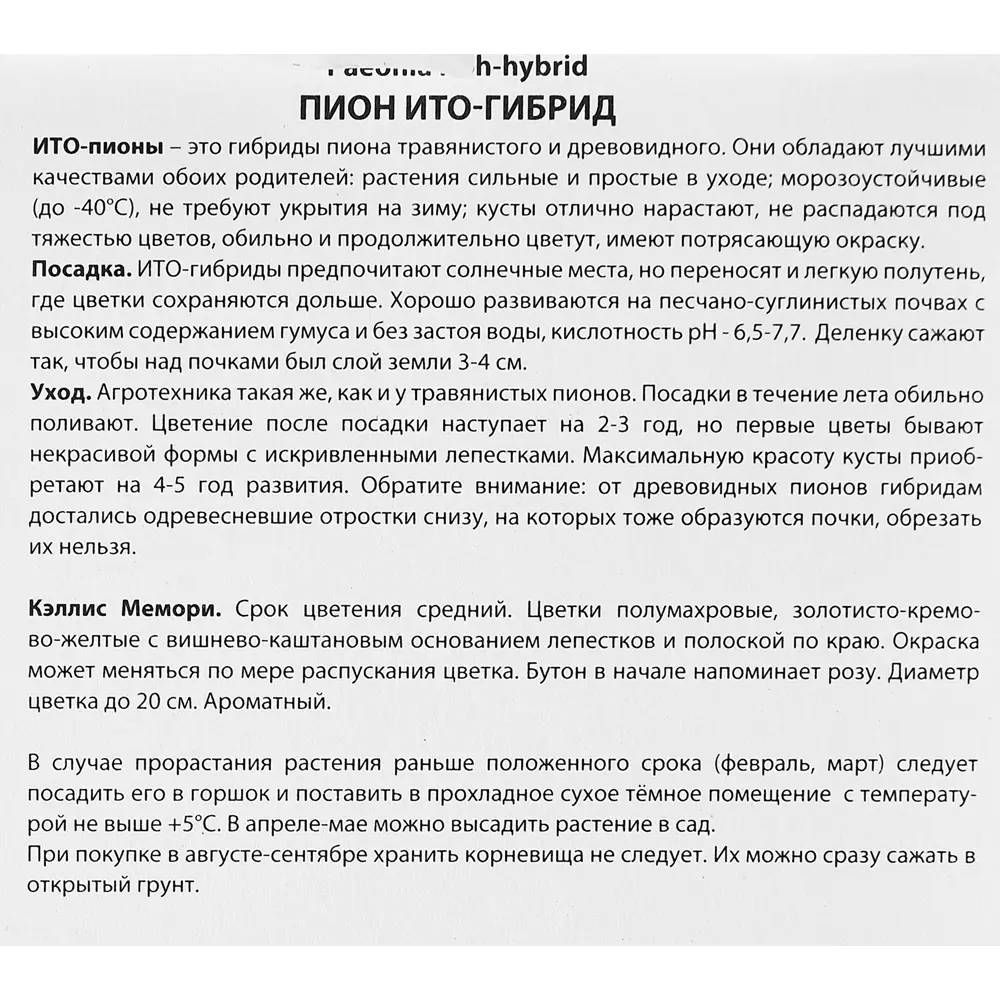 Пион ито-гибрид Кэллис Мемори 89351847 STLM-2109628 ПОИСК  - Вид №2