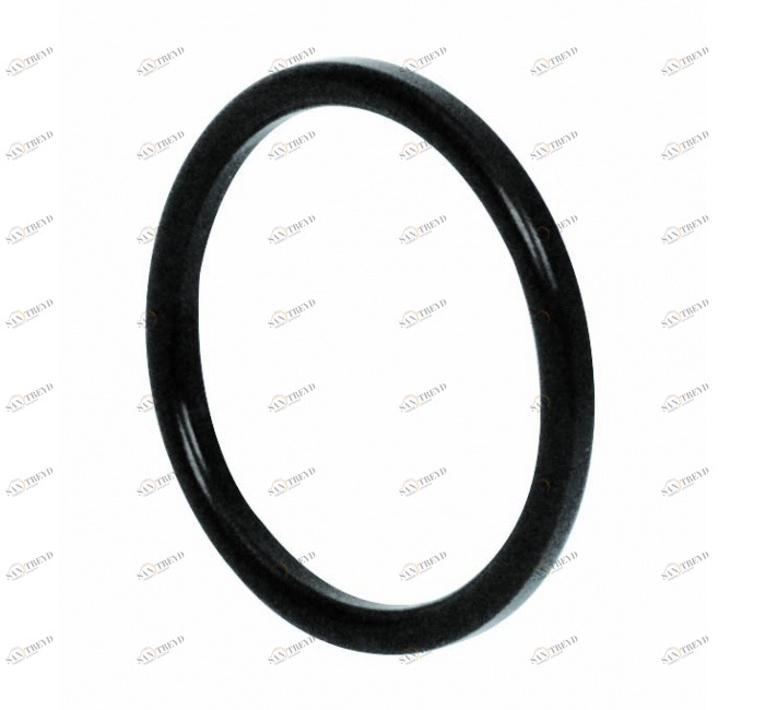 GENEBRE 2957 07 Кольцо уплотнительное для разъема DIN 11851 