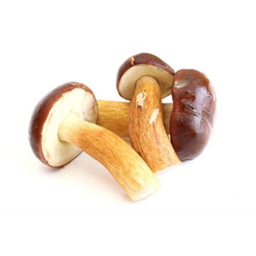 Маслята ~500 г Santreyd 23539