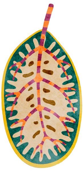 Scarlet Splendour Шерстяной ковер Forest Fr2 - Вид №2