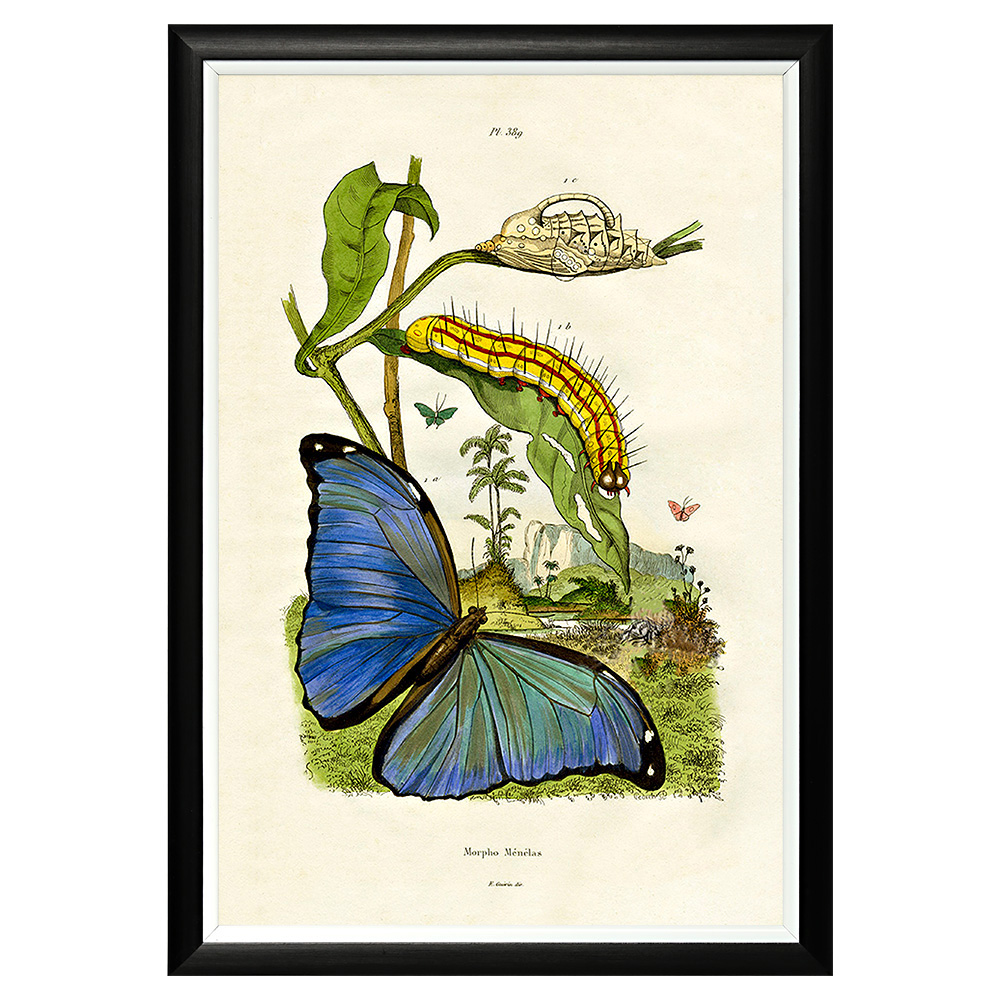 782752448_1818 Арт-постер «Тропический рай», версия 39 Object Desire 