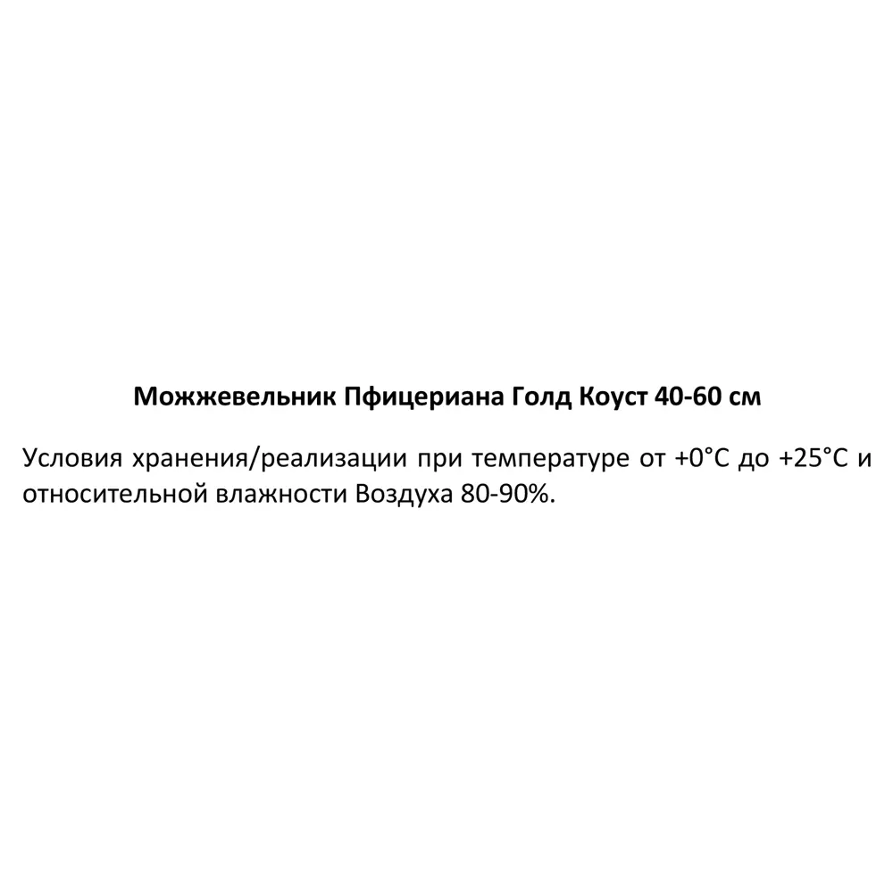 Можжевельник Пфицериана (средний) Голд Коуст ø19 см h40-60 см 85088133 STLM-2166385 Santreyd  - Вид №2