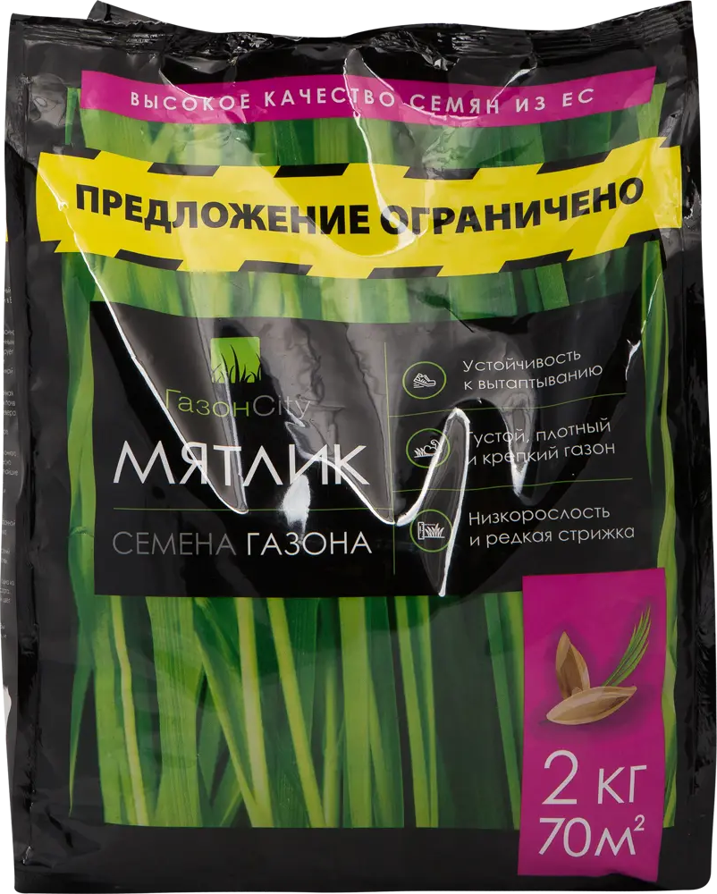 ГАЗОНCITY Мятлик - семена для идеального газона 2 кг 82576223