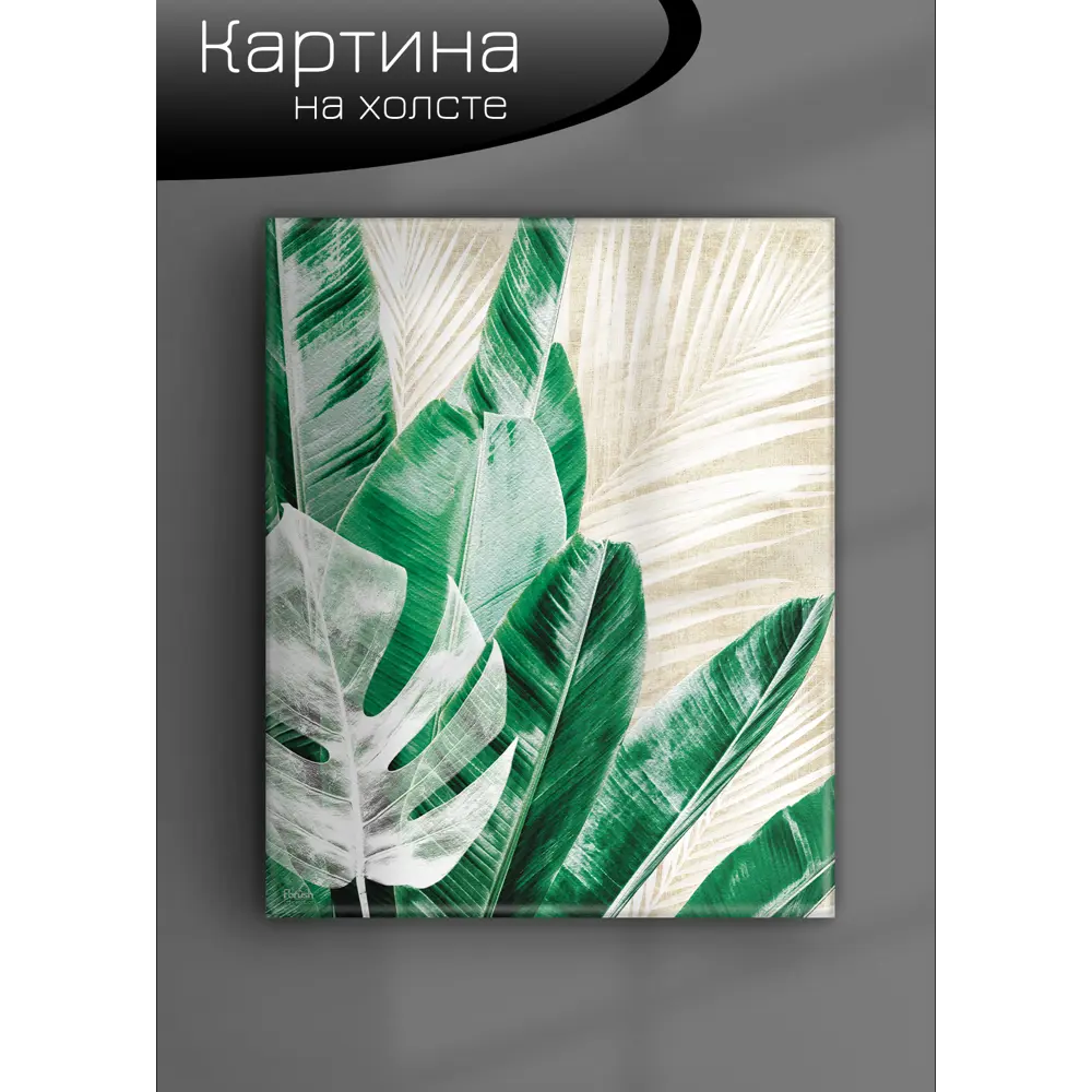 Картина на холсте Экзотические листья 1 40x50 см FBRUSH STLM-2191042 - Вид №5