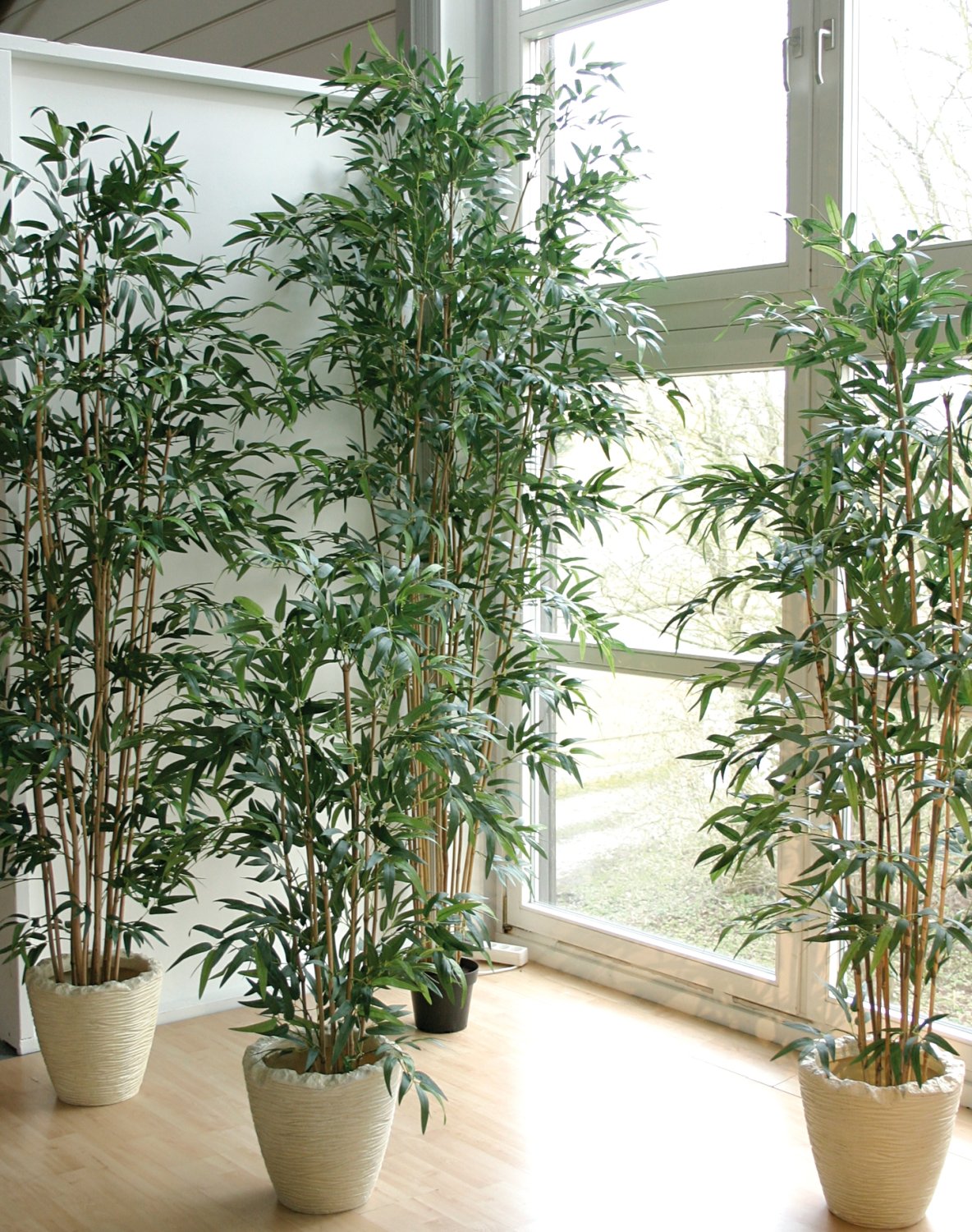 5743 883 a3 Бамбук искусственный, в горшке, 1950 листьев, 210 см, зеленый H-andreas 
