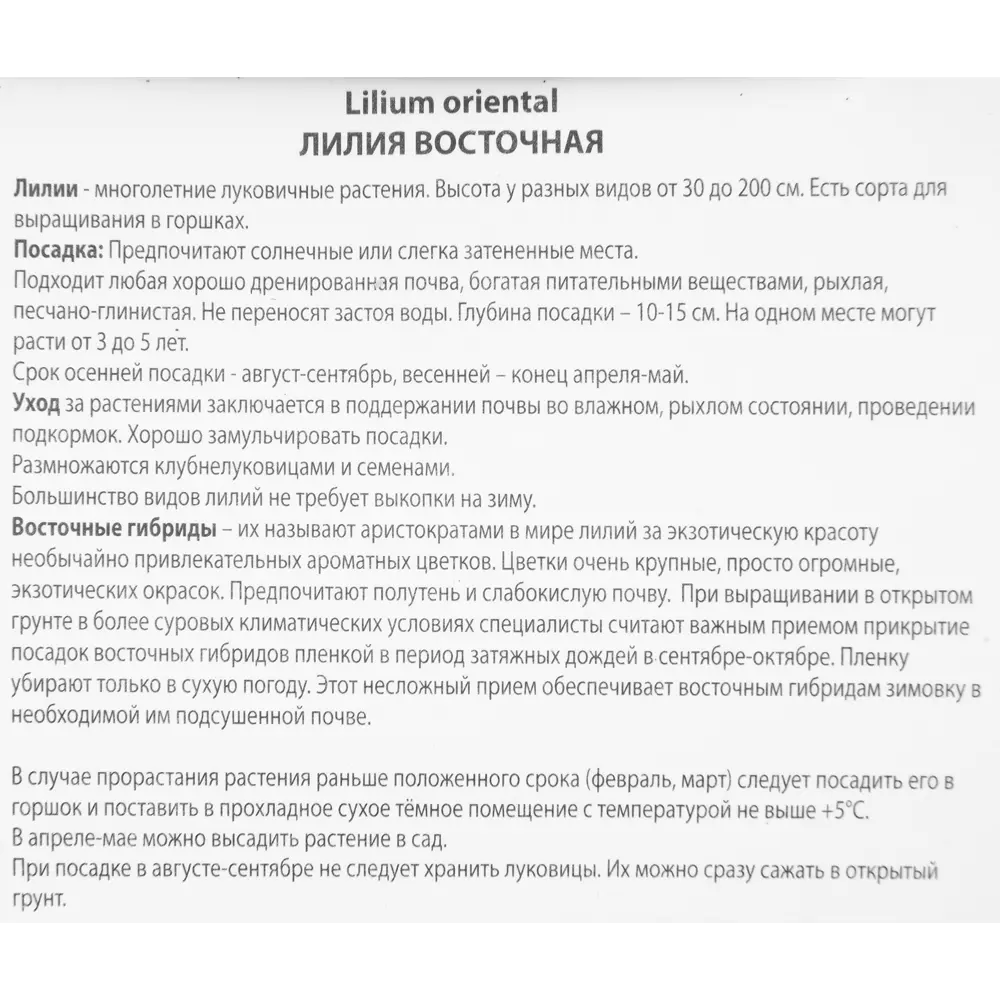Лилия восточная «Милессимо» размер луковицы 14/16 82662543 STLM-2045467 Santreyd  - Вид №2