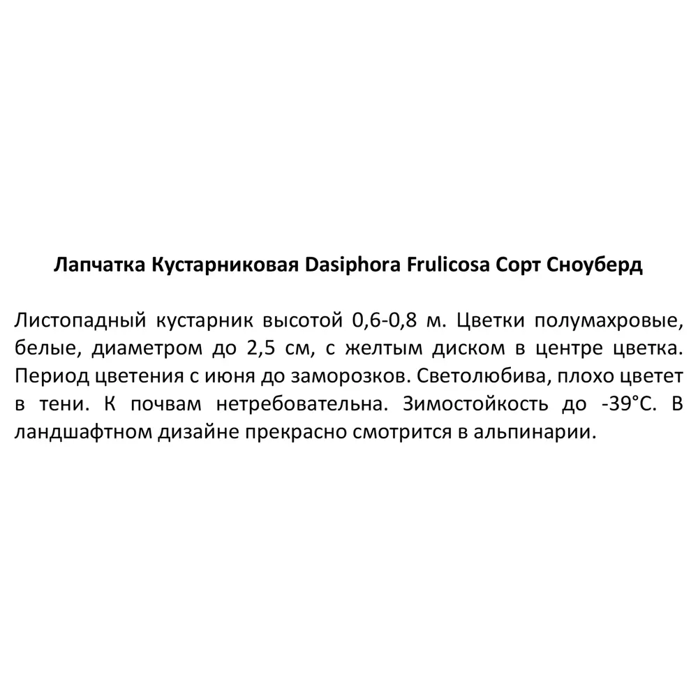 Лапчатка белая микс ø15 h30 см 85606787 STLM-2010785 Santreyd  - Вид №3