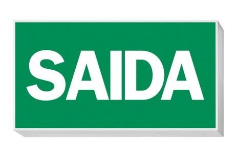 DST-505 Lisu Daisalux Светильники аварийные Серебристо-Серый 