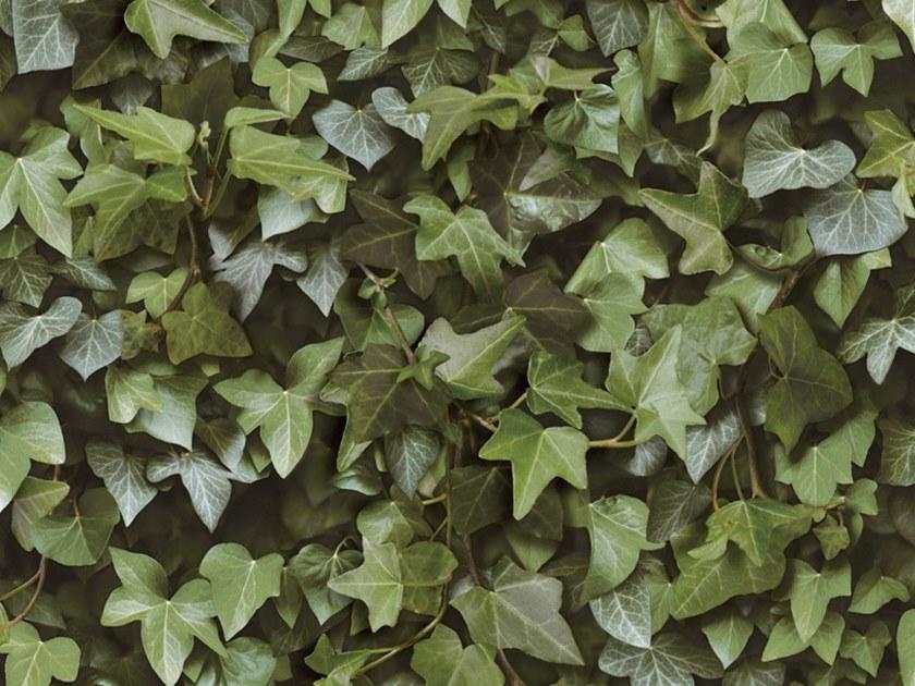 Koziel Обои на стену  8888-401  - Вид №3