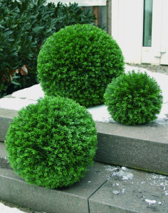 4956 883 a2 Шарик из искусственного кипариса, синтетический материал, Ø 33 см, зеленый H-andreas 