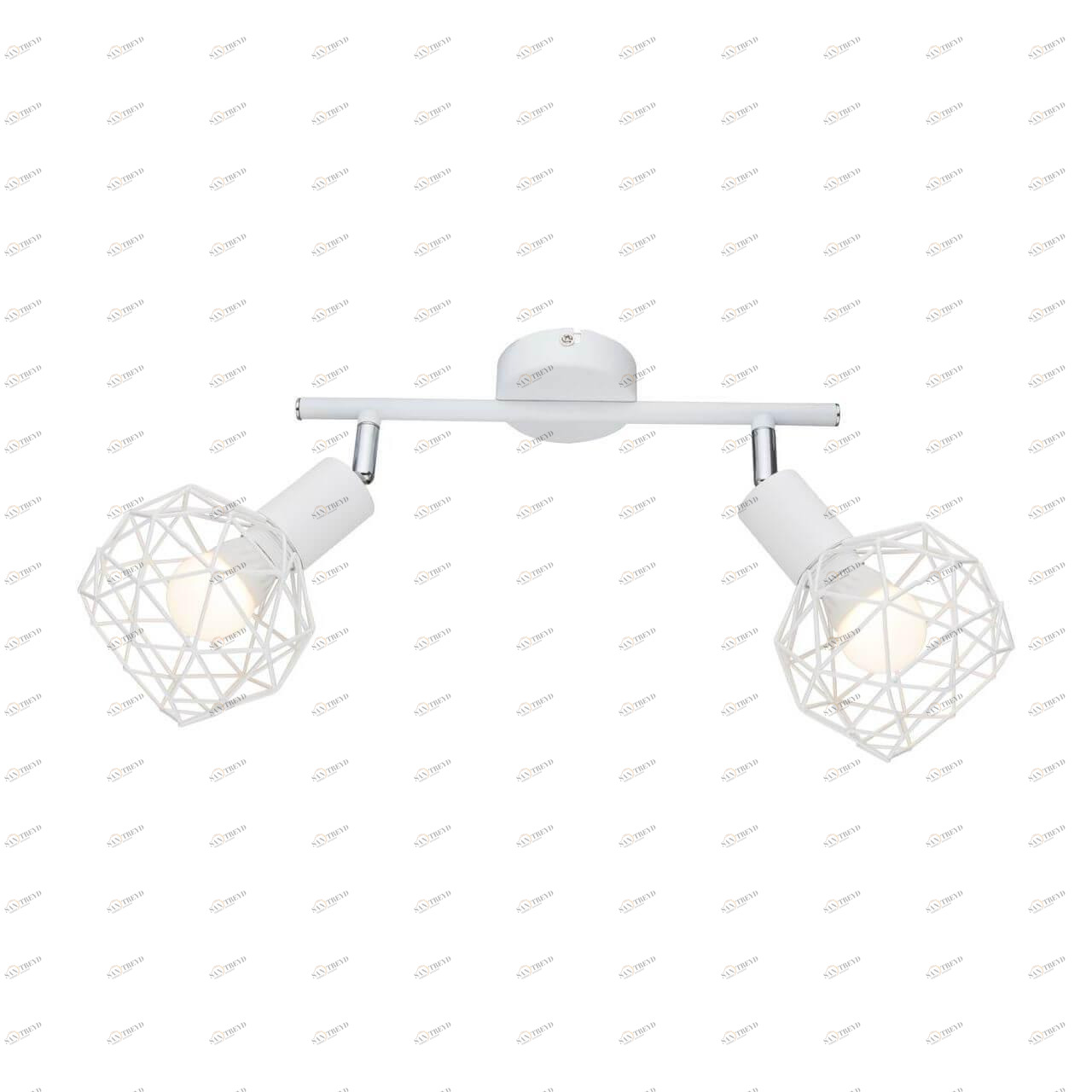 Спот потолочный с металлическими плафонами белый Arte Lamp A6141AP-2WH ARTE LAMP 6141 00-3926546 Белый 