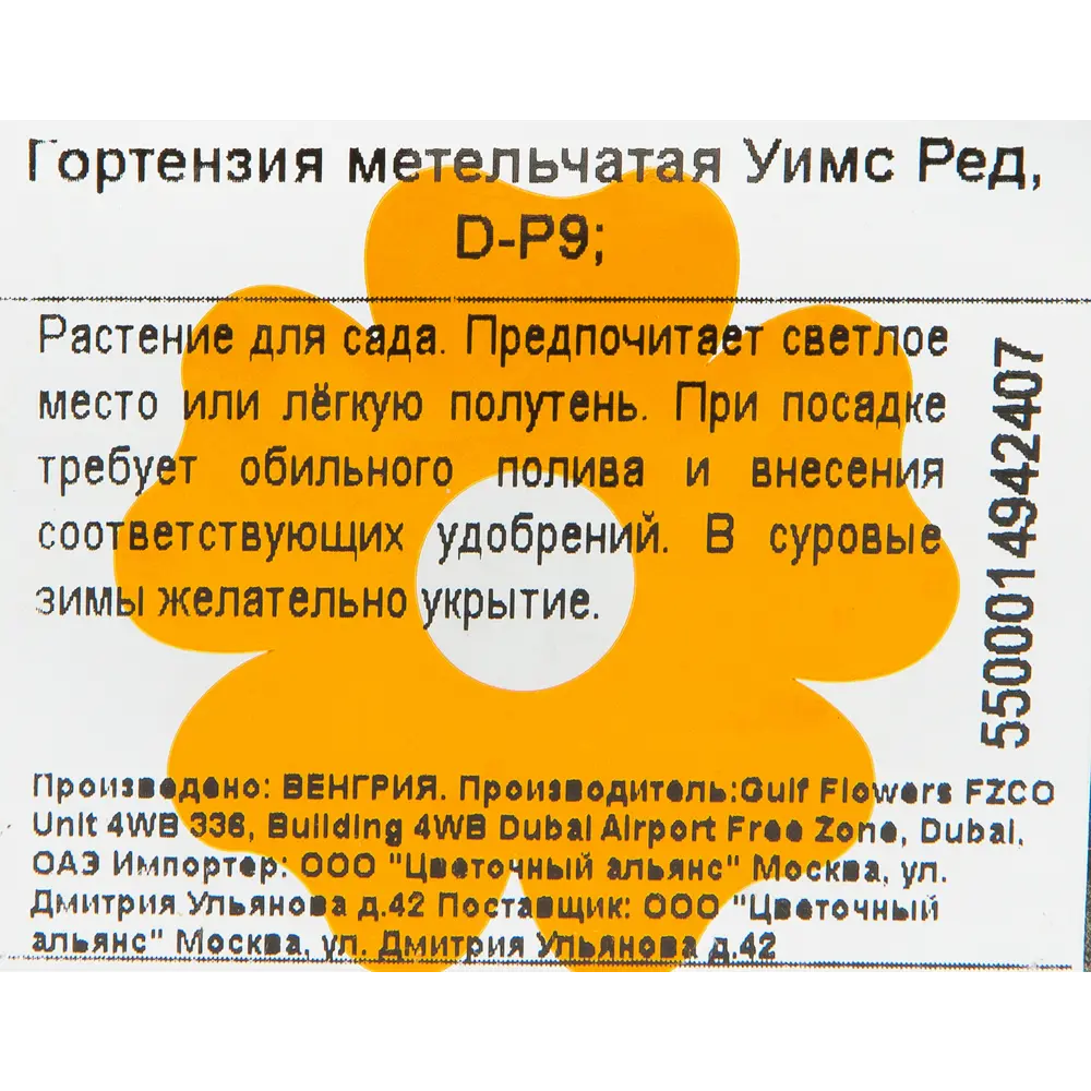 Гортензия метельчатая «Уимс Ред» 9x20 см 82601826 STLM-2159582 Santreyd  - Вид №1
