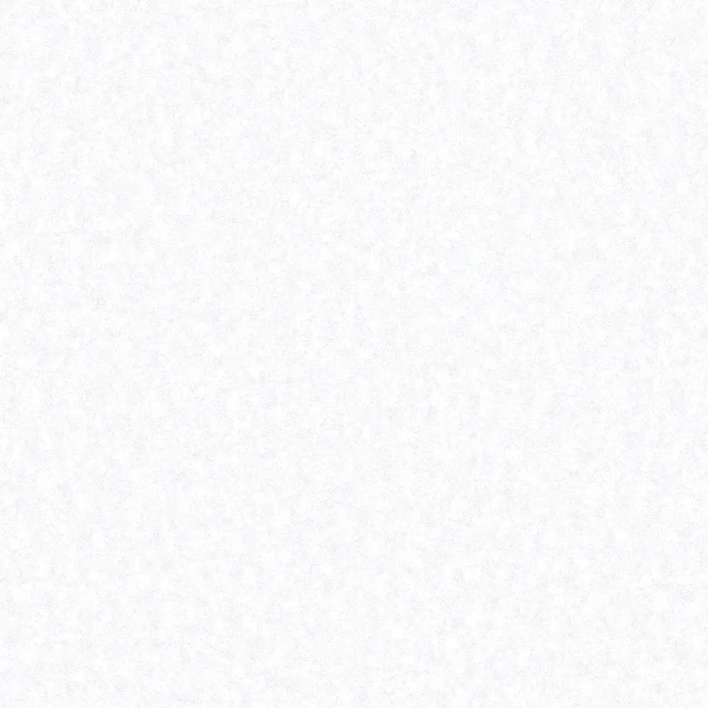 Обои флизелиновые Erismann Exclusive белые 1.06 м 60146-04 STLM-2209634 - Вид №1