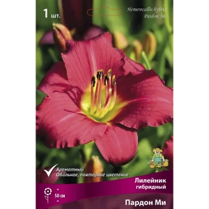 Лилейник гибридный Пардон Ми I 89381255 STLM-2115694