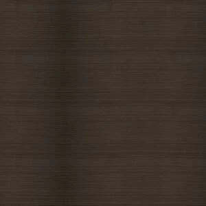 Террасная доска TerraPol Полнотелая Киото 1028 Тик (Рельефная) 3000х130 мм.