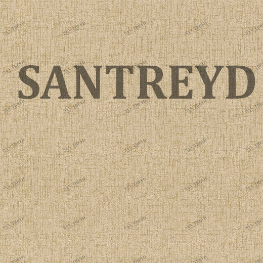 5539 Обои Zambaiti Parati Trussardi 2