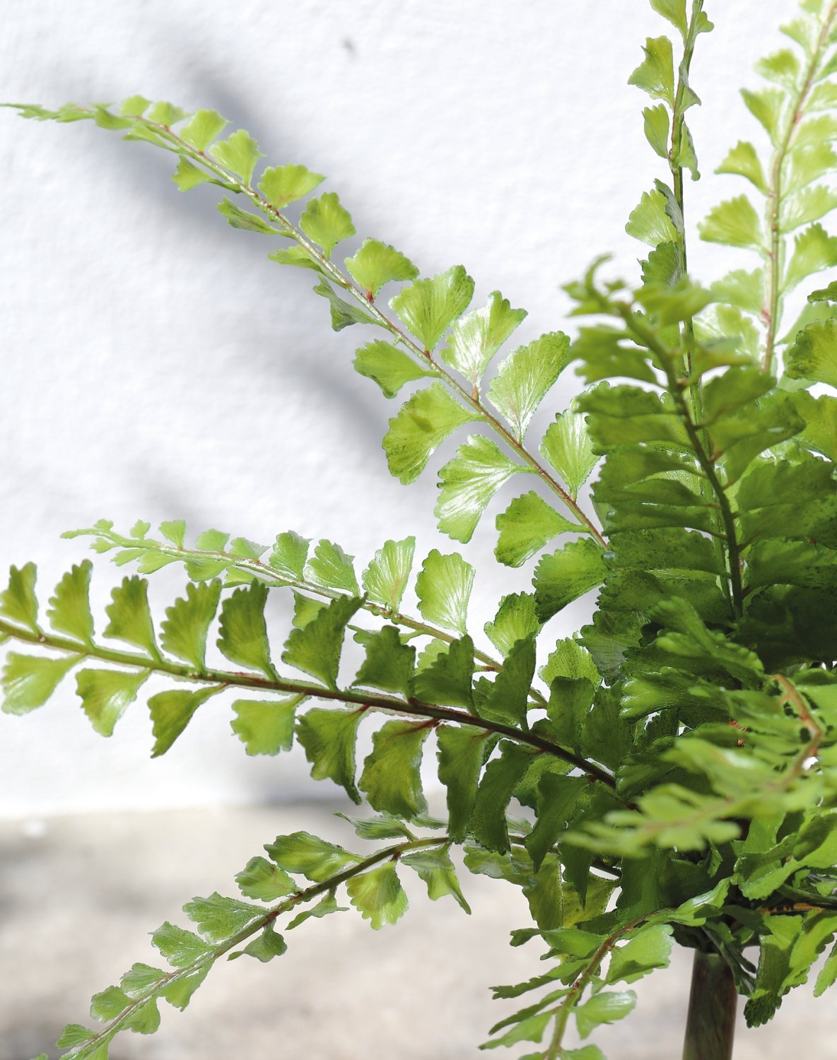 4904 883 a3 Имитация куста папоротника, 36 см, зелёная H-andreas 