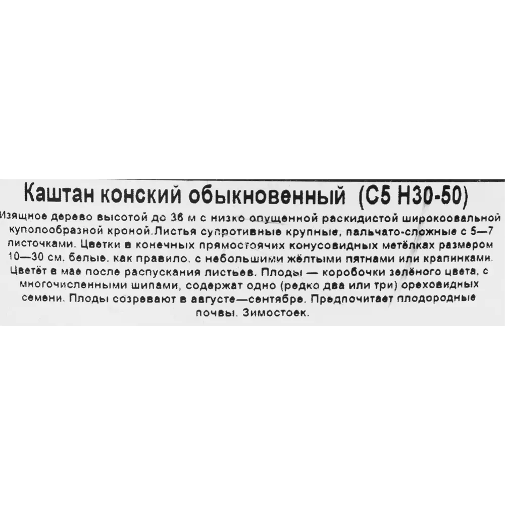 Каштан конский обыкновенный ø21.5 h30 - 50 см 85325435 STLM-2141117 Santreyd  - Вид №1