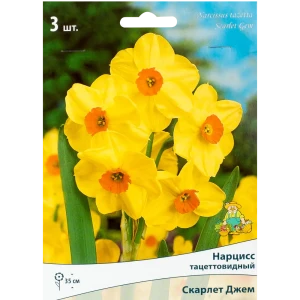 Нарцисс Скарлет Джем - золотистые луковицы для весеннего сада 82319556