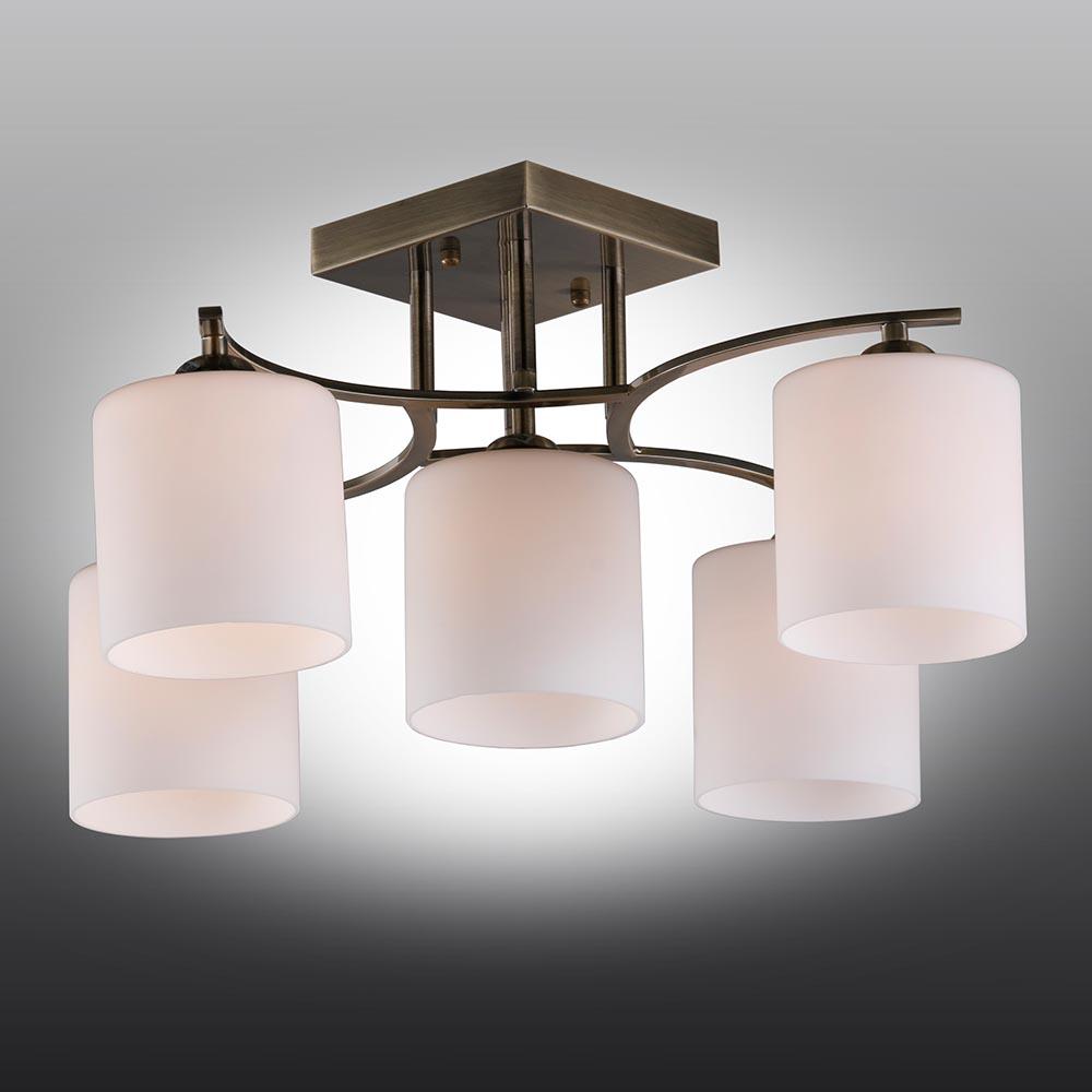 Потолочная люстра Omnilux Pisticci OML-55317-05 OMNILUX PISTICCI 279203 Белый  - Вид №1