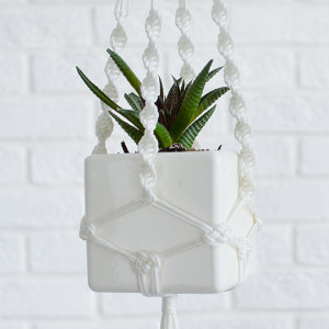 STM-3-02 Подвесное кашпо куб Экочеловеки