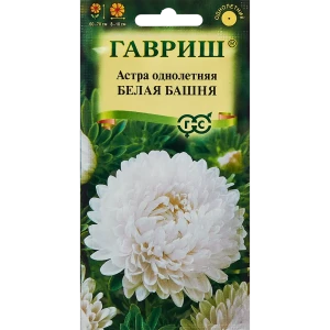 Santreyd Астра Белая Башня - пионовидные соцветия для сада 89344836